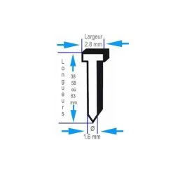 BOSCH 2000 Pointes à Tête Fraisée 20° 1.6/16 G Inoxydable - SK64-20NR