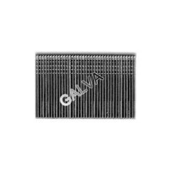 SCAB 5000 Pointes Minibrads Galvanisées